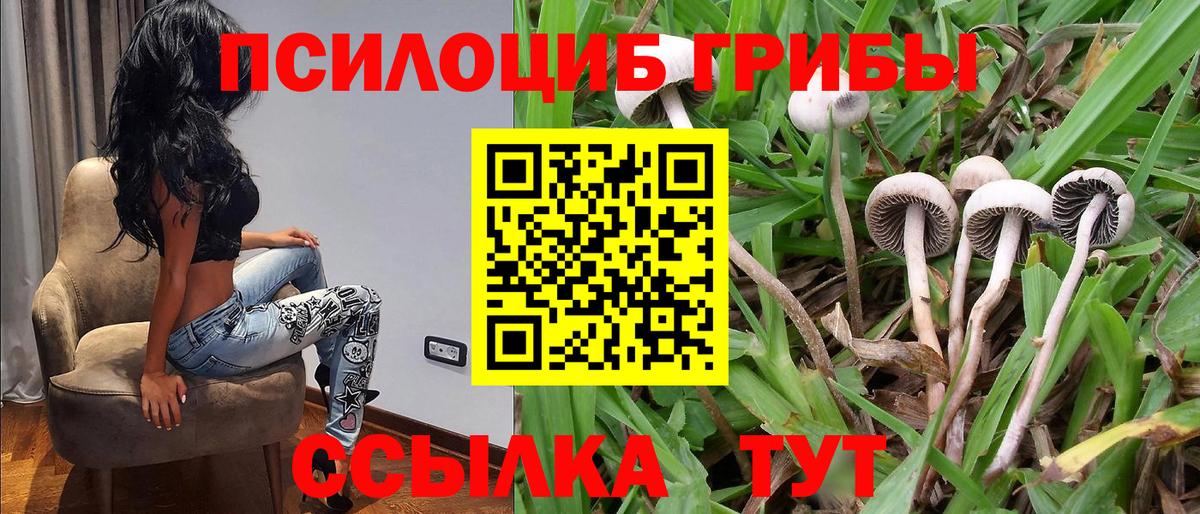 Кирово-Чепецк  купить наркоту  Вход с VPN  Галлюциногенные грибы Magic Shrooms 