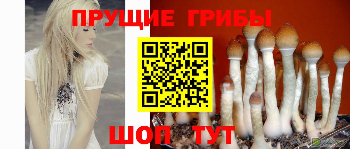 Галлюциногенные грибы ЛСД Кирово-Чепецк